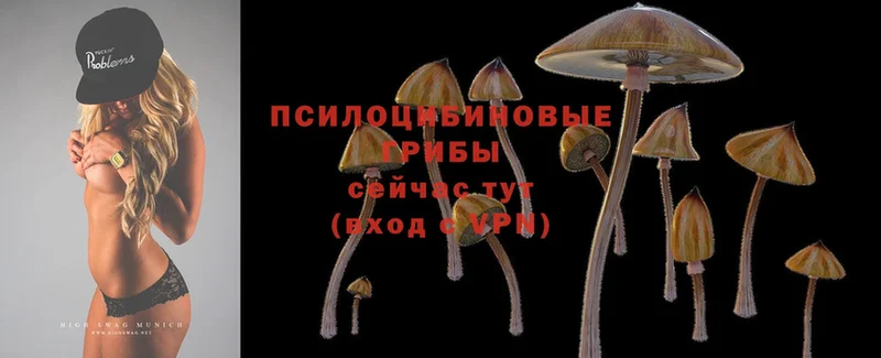 Галлюциногенные грибы Magic Shrooms  Вилюйск 